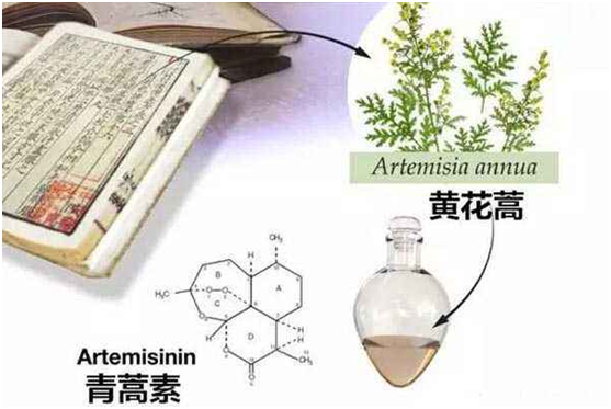 广发在线,广发在线（中国）：向中医药看齐，与世界共享中医药文化(图1)